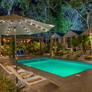 https://zensus.quintano-roohotels.com